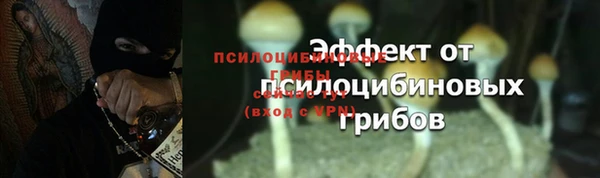 ALPHA-PVP Карталы