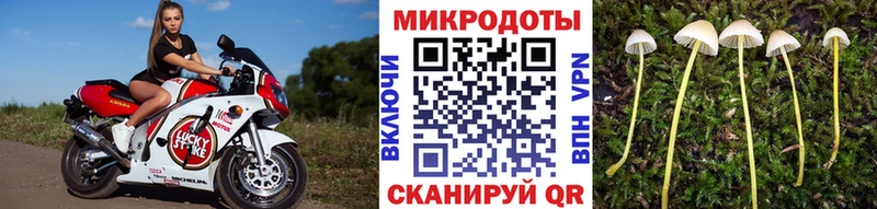 Псилоцибиновые грибы Psilocybe Купить закладки Менделеевск